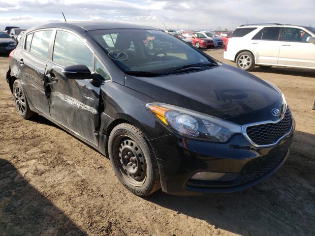 Kia Forte lx (2016)