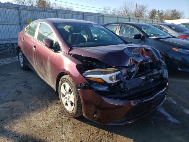 Kia Forte lx (2017)
