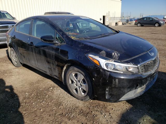 Kia Forte lx (2018)