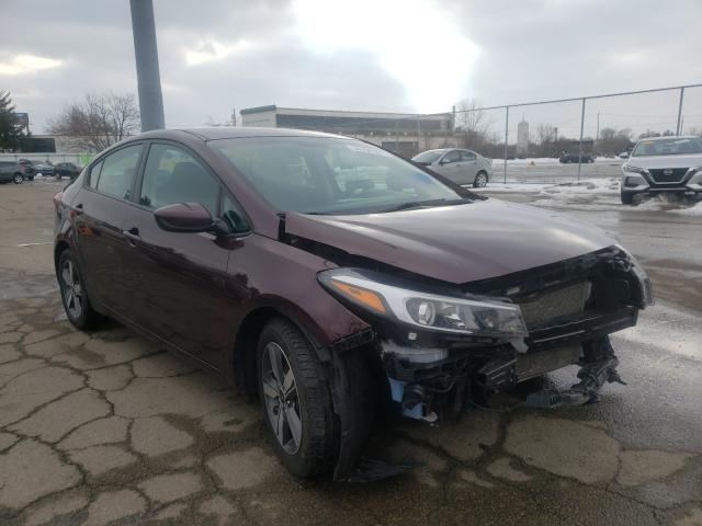 Kia Forte lx (2018)