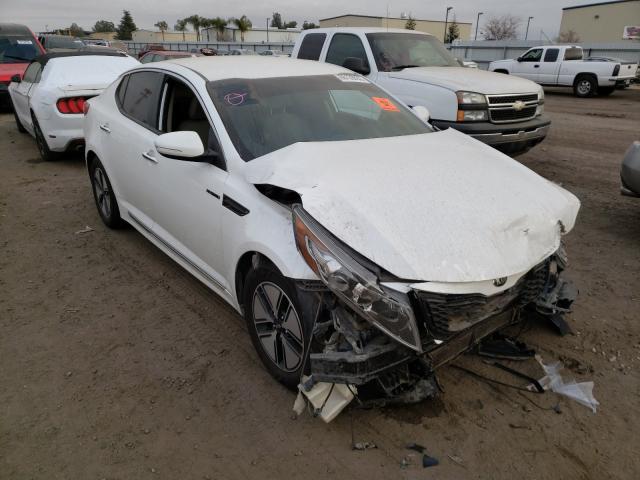 Kia Optima hyb (2013)