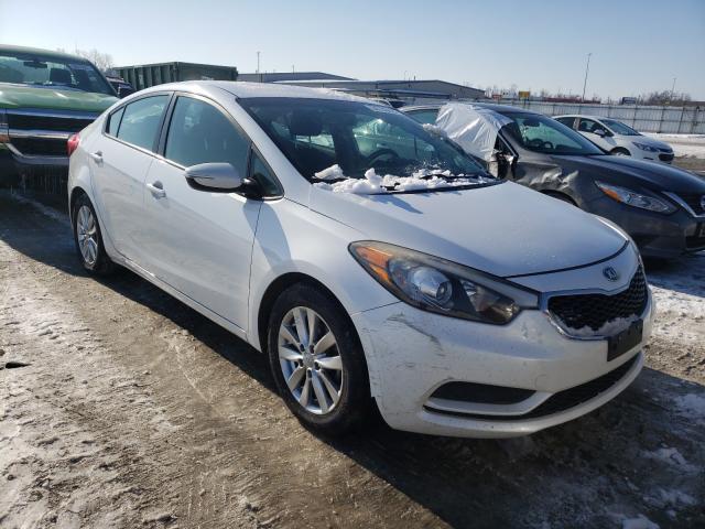 Kia Forte lx (2015)