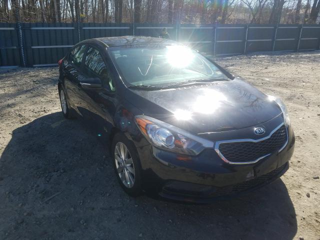 Kia Forte lx (2016)