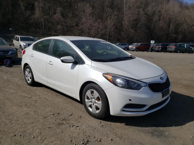 Kia Forte lx (2016)