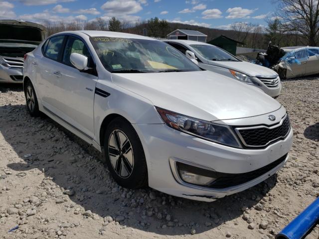 Kia Optima hyb (2013)