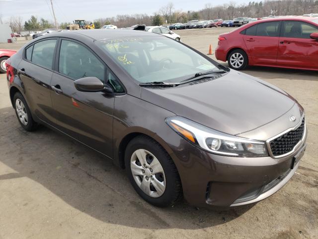 Kia Forte lx (2017)