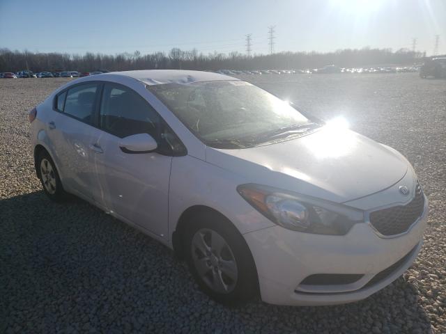 Kia Forte lx (2016)