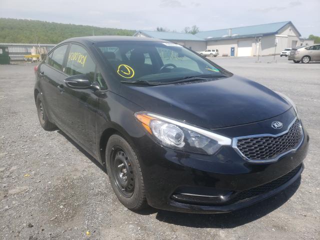Kia Forte lx (2016)