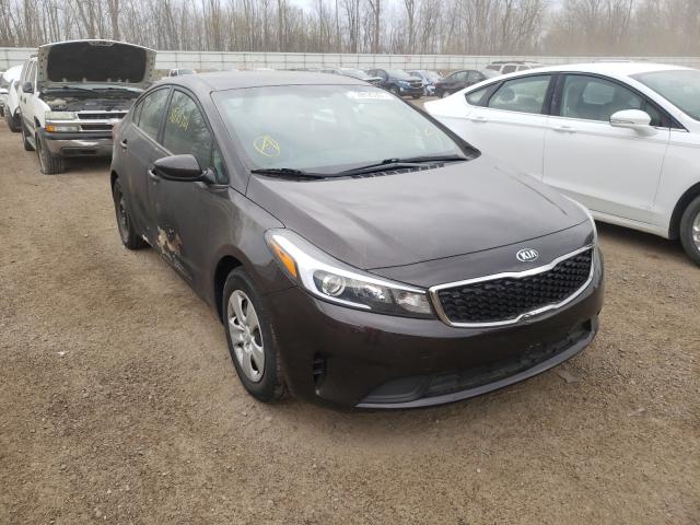 Kia Forte lx (2017)