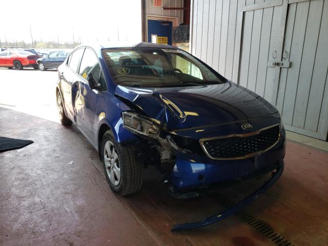 Kia Forte lx (2017)