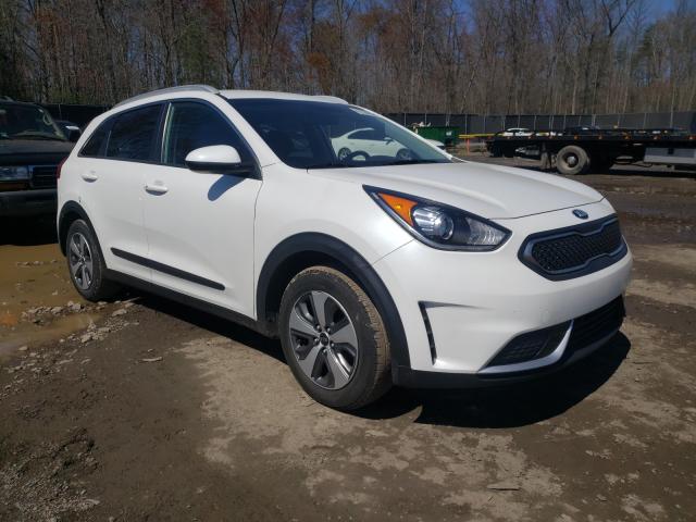 Kia Niro fe (2019)