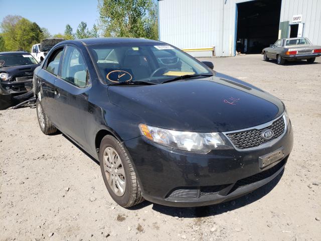 Kia Forte lx (2013)