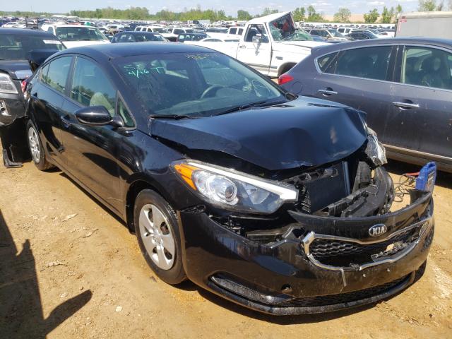 Kia Forte lx (2015)