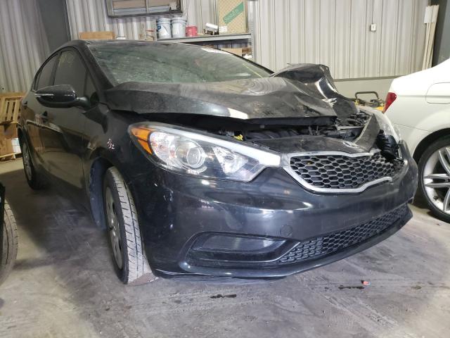 Kia Forte lx (2015)