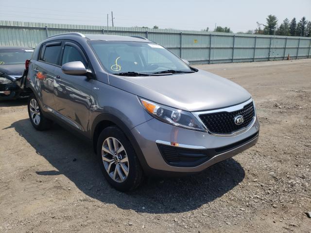 Kia Sportage l 2016