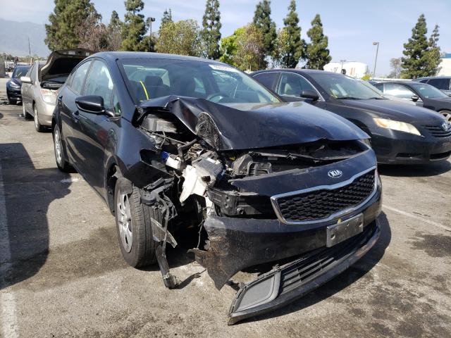 Kia Forte lx (2017)