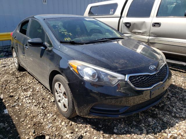 Kia Forte lx (2015)