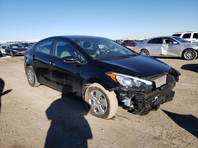 Kia Forte lx (2016)