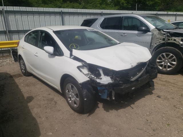 Kia Forte lx (2016)