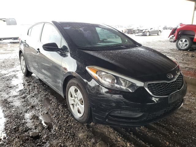 Kia Forte lx (2016)
