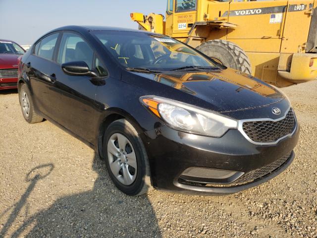 Kia Forte lx (2014)