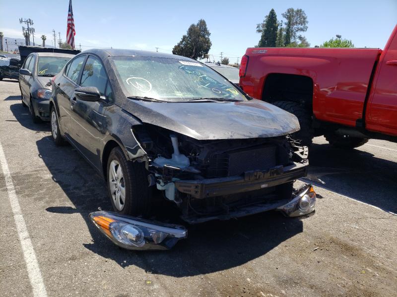Kia Forte lx (2015)