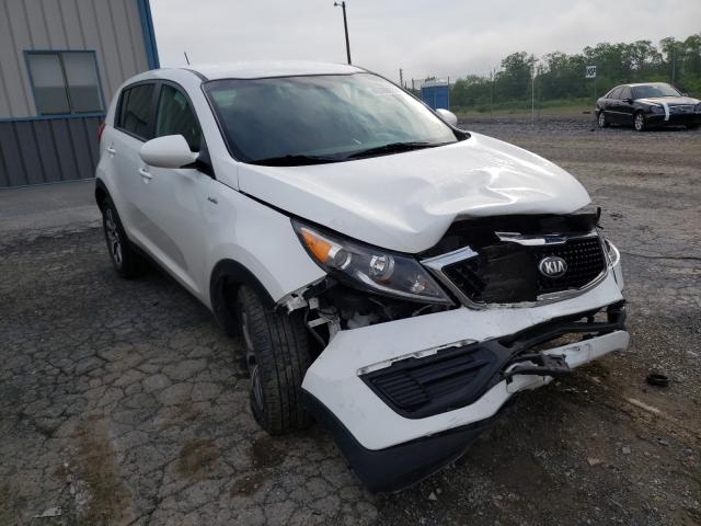 Kia Sportage l 2016