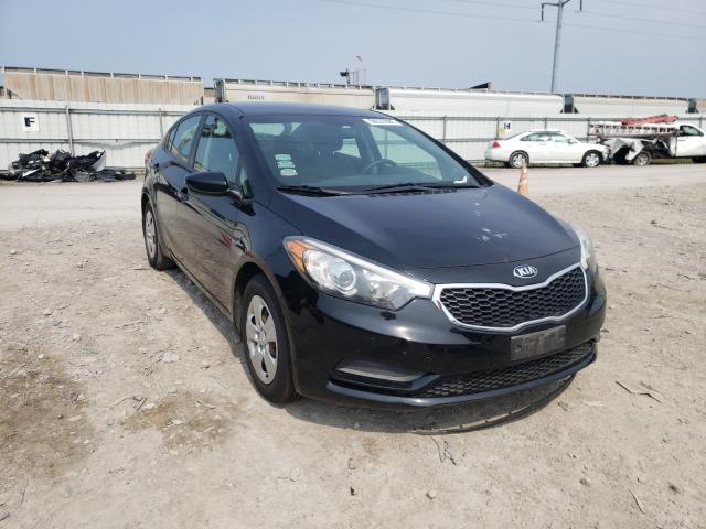 Kia Forte lx (2015)