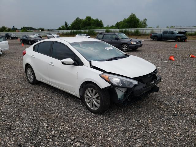 Kia Forte lx (2016)