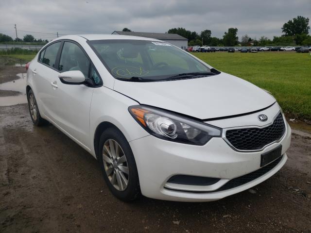 Kia Forte lx (2014)