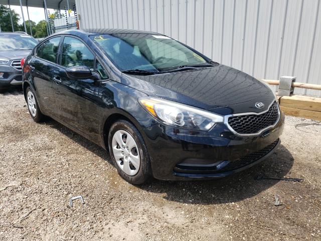 Kia Forte lx (2015)