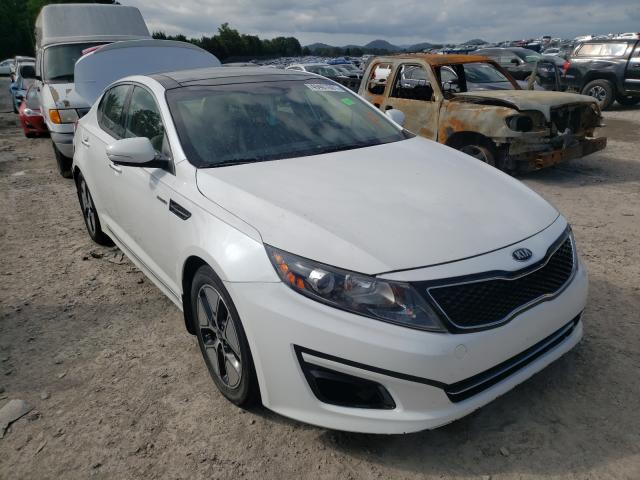 Kia Optima hyb (2013)
