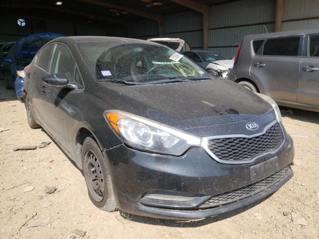 Kia Forte lx (2016)