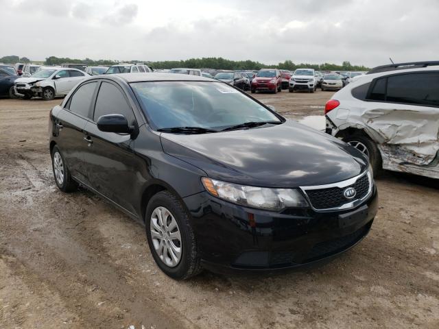 Kia Forte lx (2012)