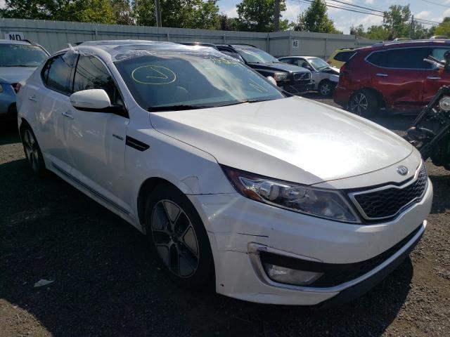 Kia Optima hyb (2013)