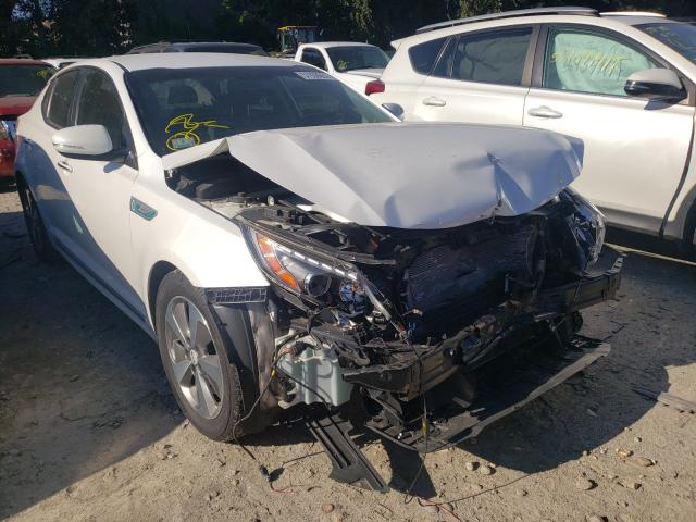 Kia Optima hyb (2015)