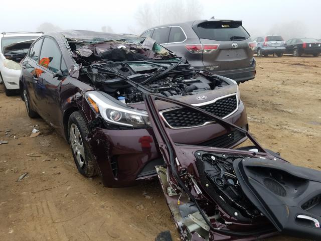 Kia Forte lx (2017)