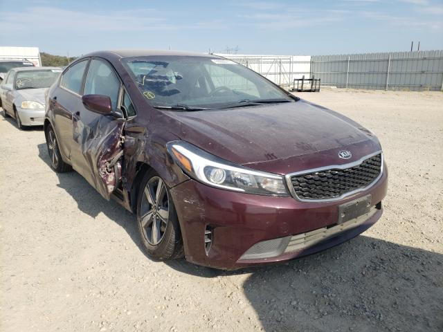 Kia Forte lx (2018)