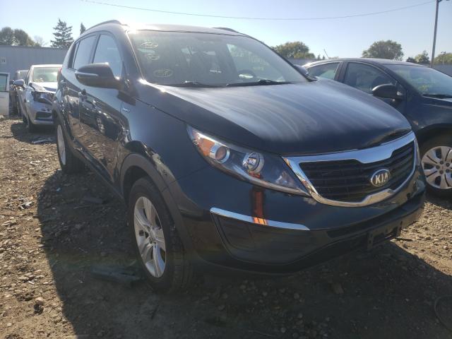 Kia Sportage l (2013)