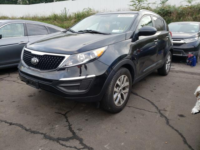 Kia Sportage l 2016