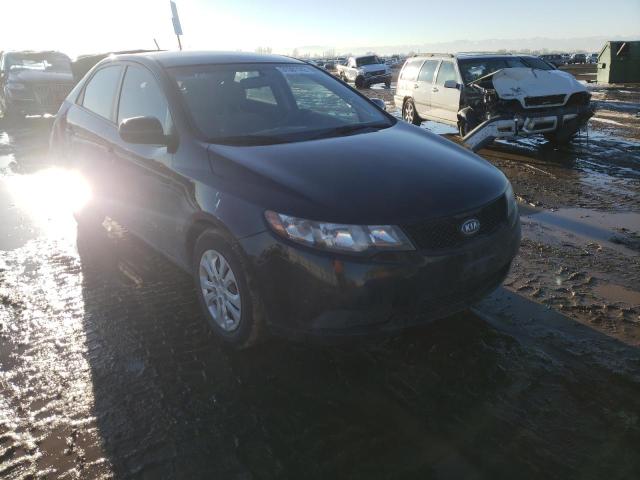 Kia Forte lx (2010)
