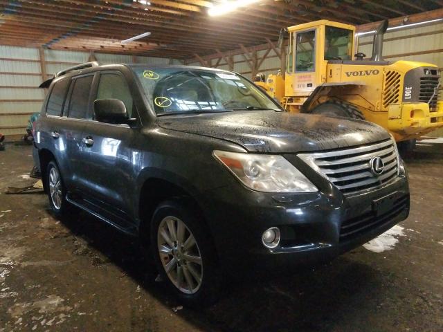 Lexus Lx 570 (2010)