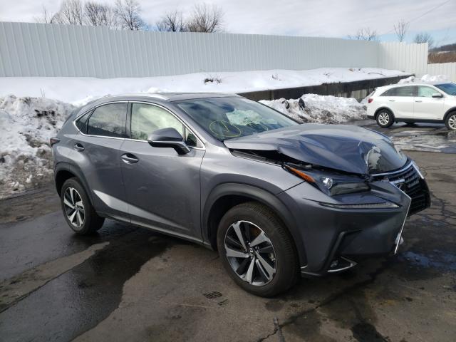 Lexus Nx 300 (2020)