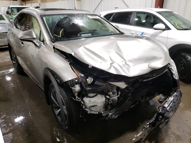 Lexus Nx 300h ba (2021)