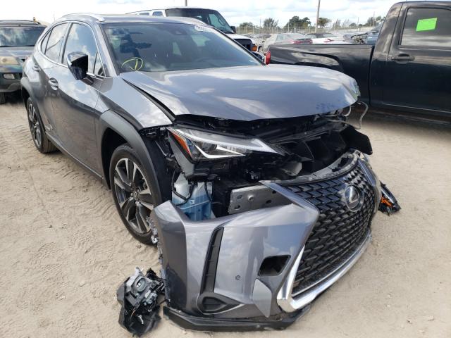 Lexus Ux 250h (2019)
