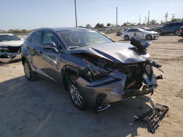Lexus Nx 300h ba (2021)