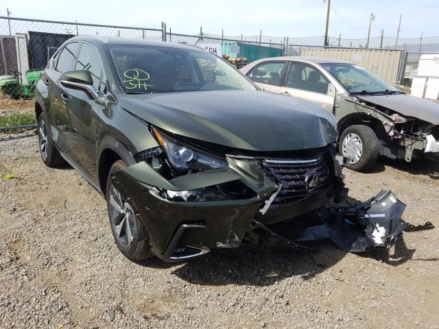 Lexus Nx 300h ba (2021)