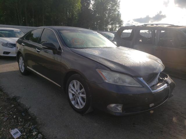 Lexus Es 350 (2010)