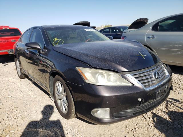 Lexus Es 350 (2010)