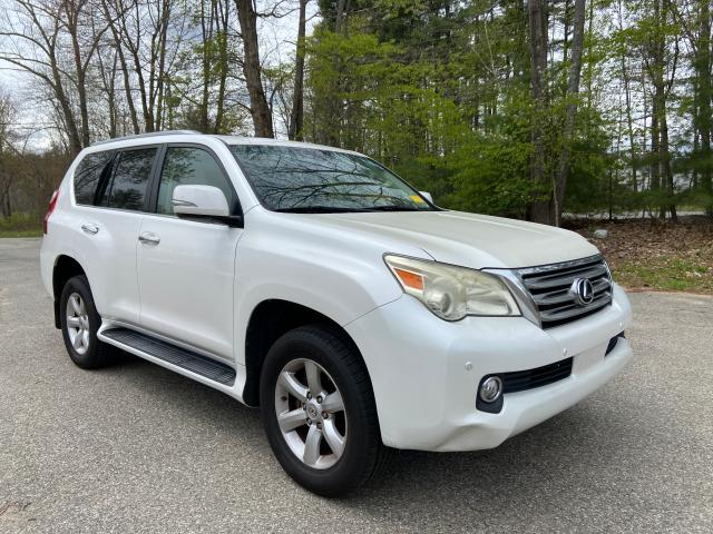 Lexus Gx 460 (2010)